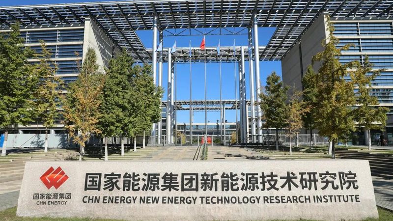 生物质颗粒生产：从原料到成品的关键步骤**